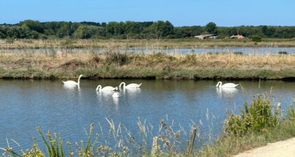L'Île-d'Olonne Terrain à bâtir - 2400662-10920annonce320260121LNO48.jpeg Maisons France Confort