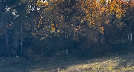 Aubagne Terrain à bâtir - 2305000-7054annonce220251014TEi72.jpeg Maisons France Confort