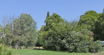 La Crau Terrain à bâtir - 2400913-11079annonce220260121k22Z2.jpeg Maisons France Confort