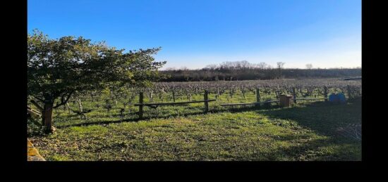 Terrain à bâtir à , Gironde