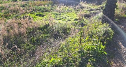 Salon-de-Provence Maison neuve - 2400954-11041annonce220260121CEfvu.jpeg Maisons France Confort