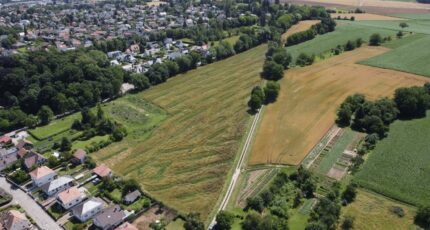 Morschwiller-le-Bas Terrain à bâtir - 2372242-11207annonce120251218ifxNJ.jpeg Maisons France Confort