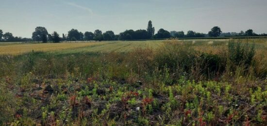 Terrain à bâtir à Houssen, Grand Est