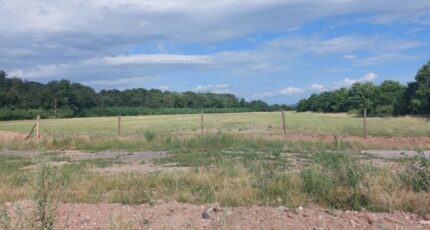 Bennwihr Terrain à bâtir - 2311288-5767annonce120251020RlqLB.jpeg Maisons France Confort