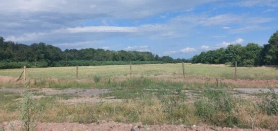 Terrain à bâtir à Bennwihr, Grand Est