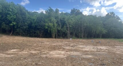 Léognan Maison neuve - 2401217-1803annonce120260122ALQMr.jpeg Maisons France Confort