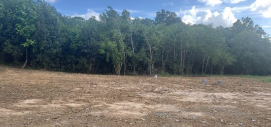 Terrain à bâtir à Léognan, Nouvelle-Aquitaine