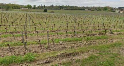 Artigues-près-Bordeaux Terrain à bâtir - 2401282-3601annonce120260122DTwVc.jpeg Maisons France Confort