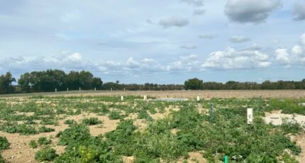 Saint-Jean-de-Liversay Maison neuve - 2401272-9644annonce320260120z41Ll.jpeg Maisons France Confort