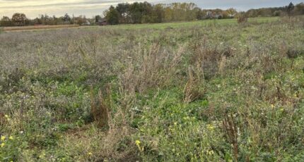 La Membrolle-sur-Longuenée Terrain à bâtir - 2401544-10544annonce120260122CseWT.jpeg Maisons France Confort