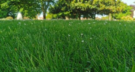 Audenge Maison neuve - 2401539-3957annonce12026012262kwT.jpeg Maisons France Confort