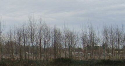 Saint-Germain-du-Puch Terrain à bâtir - 2401473-3601annonce1202601227kdRC.jpeg Maisons France Confort