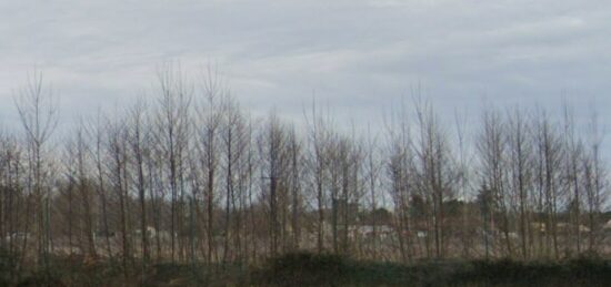 Terrain à bâtir à Saint-Germain-du-Puch, Nouvelle-Aquitaine