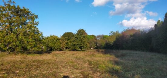 Terrain à bâtir à Les Métairies, Nouvelle-Aquitaine