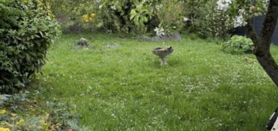 Maison neuve à , Nord