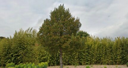 Fos-sur-Mer Terrain à bâtir - 2402096-7054annonce120260122PKoEZ.jpeg Maisons France Confort