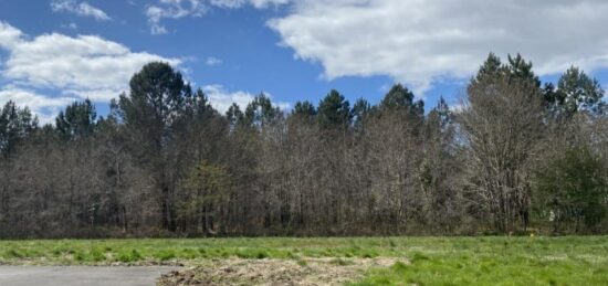 Terrain à bâtir à La Brède, Nouvelle-Aquitaine