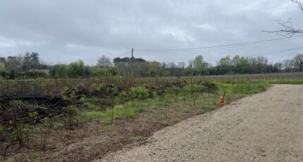 La Brède Maison neuve - 2402306-1803annonce120260122l8WSb.jpeg Maisons France Confort