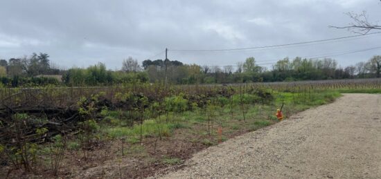 Terrain à bâtir à La Brède, Nouvelle-Aquitaine