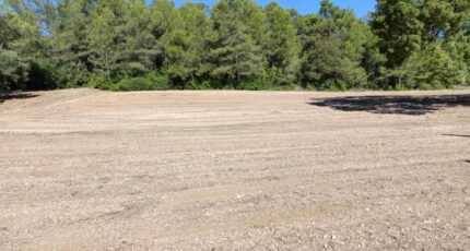 Montarnaud Terrain à bâtir - 2402047-3243annonce2202410017UvBH.jpeg Maisons France Confort