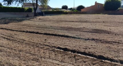 Montarnaud Terrain à bâtir - 2402095-3243annonce120241001Ja27z.jpeg Maisons France Confort