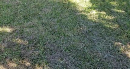 Madirac Maison neuve - 2402504-11266annonce220260122wP5by.jpeg Maisons France Confort