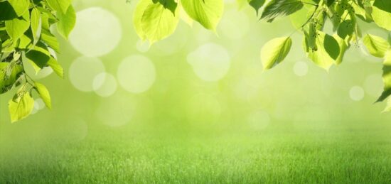 Terrain à bâtir à Gastes, Nouvelle-Aquitaine