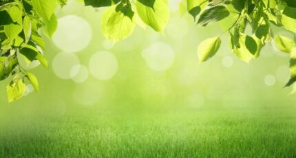 Gastes Maison neuve - 2403131-11269annonce120260122c2d3H.jpeg Maisons France Confort