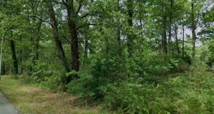 Cestas Terrain à bâtir - 2403318-3601annonce120260123fTmBT.jpeg Maisons France Confort