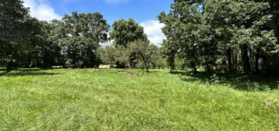 Terrain à bâtir à , Loire-Atlantique
