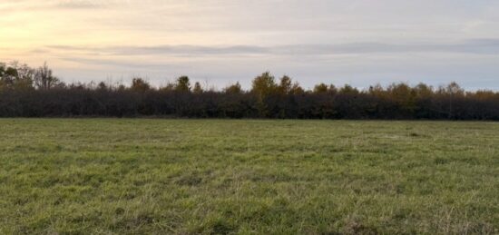 Terrain à bâtir à , Dordogne