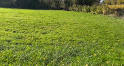 Martillac Terrain à bâtir - 2335128-11306annonce120251112g8tKZ.jpeg Maisons France Confort