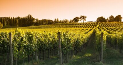 Champagnac Maison neuve - 2403639-11259annonce120260123sy5cn.jpeg Maisons France Confort