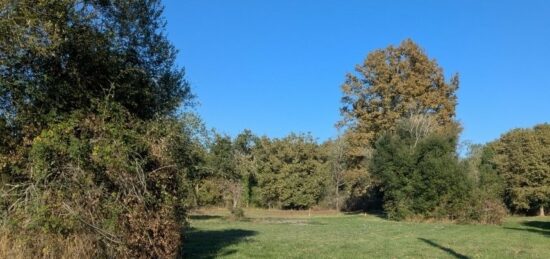 Terrain à bâtir à Noaillan, Nouvelle-Aquitaine