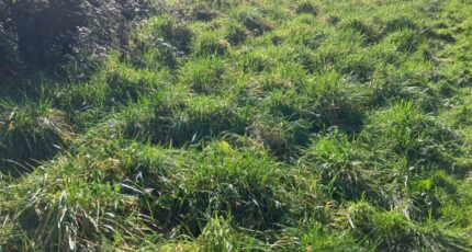 Chassors Maison neuve - 2403079-10974annonce220260122mlO0e.jpeg Maisons France Confort