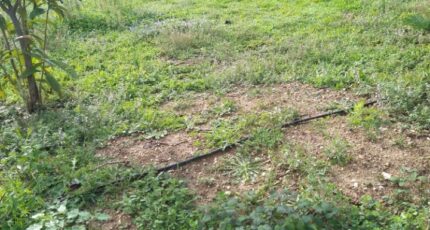 Aubagne Terrain à bâtir - 2403495-7080annonce120251114cUm7X.jpeg Maisons France Confort