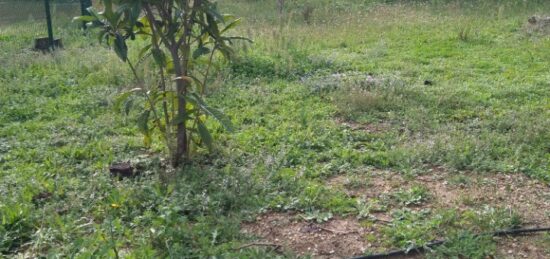 Terrain à bâtir à , Bouches-du-Rhône