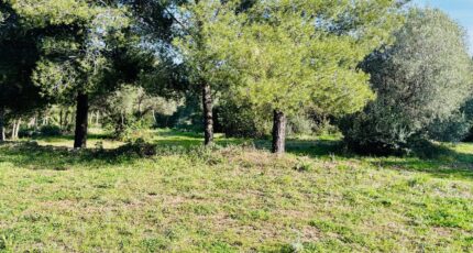 Ollioules Maison neuve - 2403567-4866annonce120260123xQVJv.jpeg Maisons France Confort