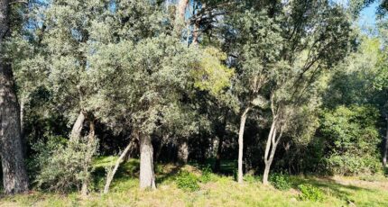 Ollioules Maison neuve - 2403625-4866annonce1202601234QWHx.jpeg Maisons France Confort