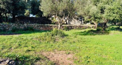 Ollioules Maison neuve - 2403637-4866annonce520260123O4K98.jpeg Maisons France Confort