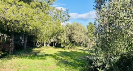 Ollioules Maison neuve - 2403685-4866annonce320260123ZlAzV.jpeg Maisons France Confort