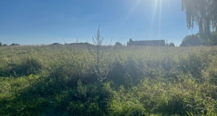 Mary-sur-Marne Terrain à bâtir - 2402261-11231annonce120260122cKeMh.jpeg Maisons France Confort