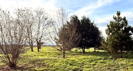 Saint-Pierre-d'Eyraud Maison neuve - 2403728-11709annonce120260123m7eSI.jpeg Maisons France Confort