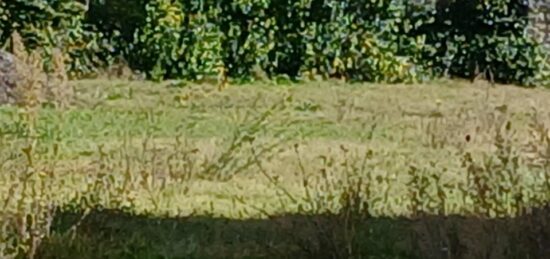 Terrain à bâtir à Congénies, Occitanie