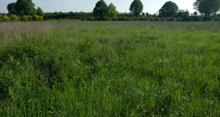 Obsonville Maison neuve - 2403592-11705annonce3202601231q2B7.jpeg Maisons France Confort