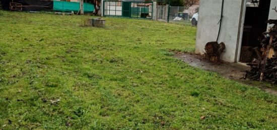 Terrain à bâtir à , Haute-Garonne