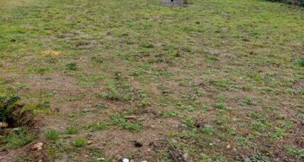 Plaisance-du-Touch Terrain à bâtir - 2403612-9555annonce220260123Rp5Bm.jpeg Maisons France Confort