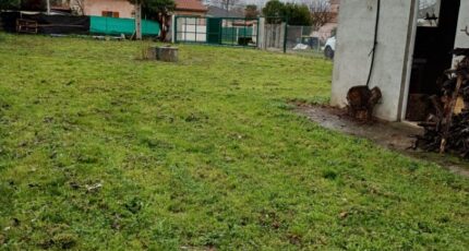 Plaisance-du-Touch Maison neuve - 2403617-9555annonce120260123TKD9f.jpeg Maisons France Confort