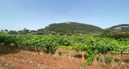 Gonfaron Maison neuve - 2404420-5922annonce220260123DUm3X.jpeg Maisons France Confort