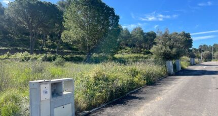 Caveirac Maison neuve - 2404839-3243annonce120260123po3n8.jpeg Maisons France Confort